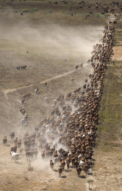 Agriculture