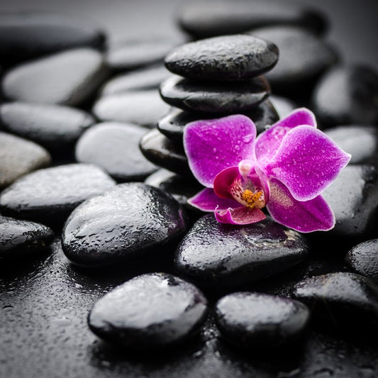 Orchid dew