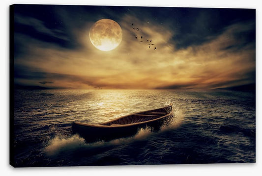 Follow the moon