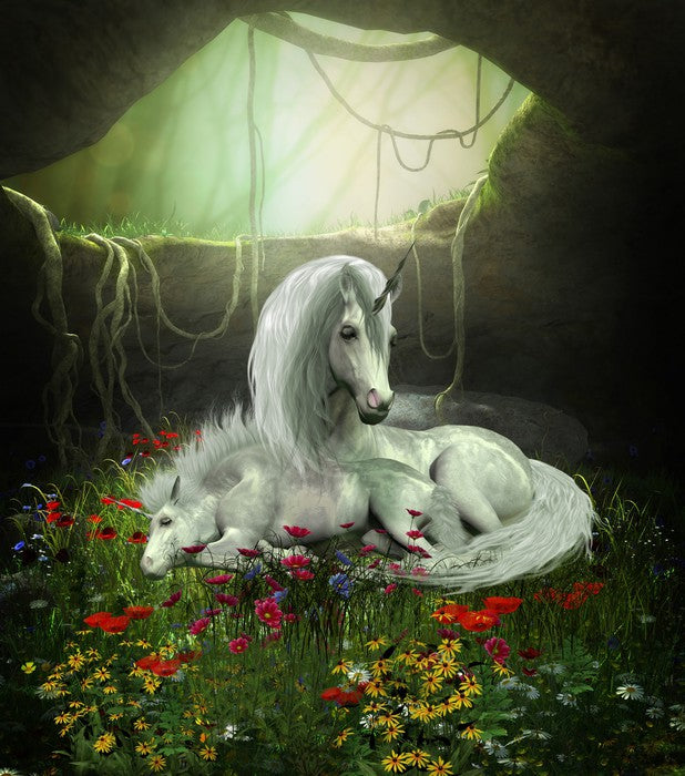 Fantasy