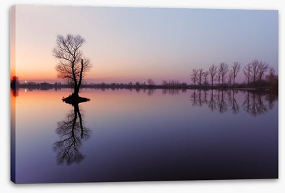 Sunrise silhouettes