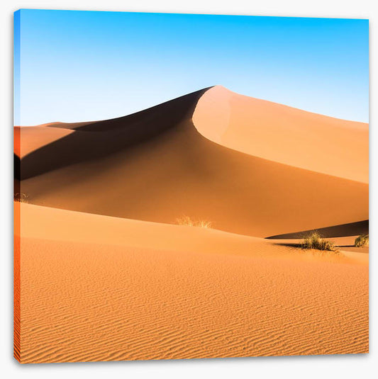 Desert