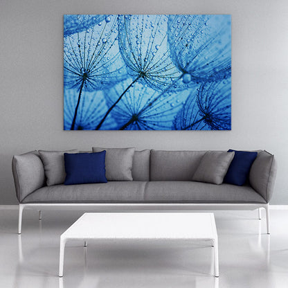Dandelion blues