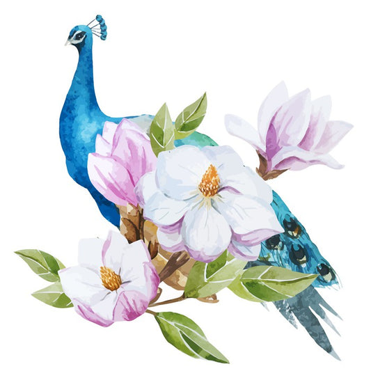 Magnolia peacock