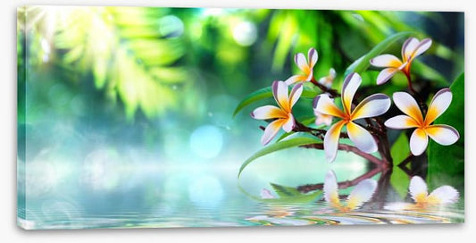 Frangipani water garden