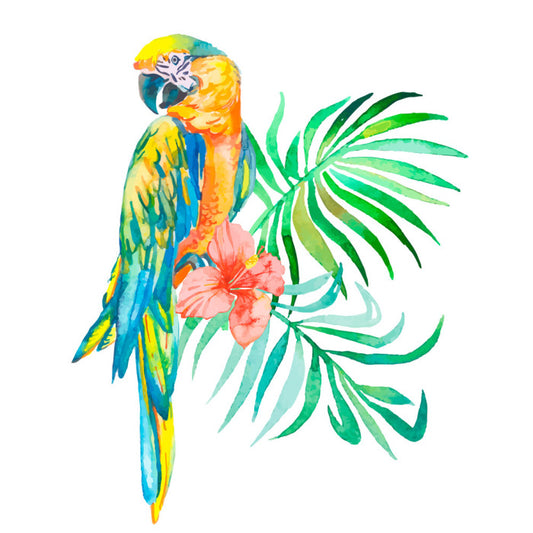 Golden macaw