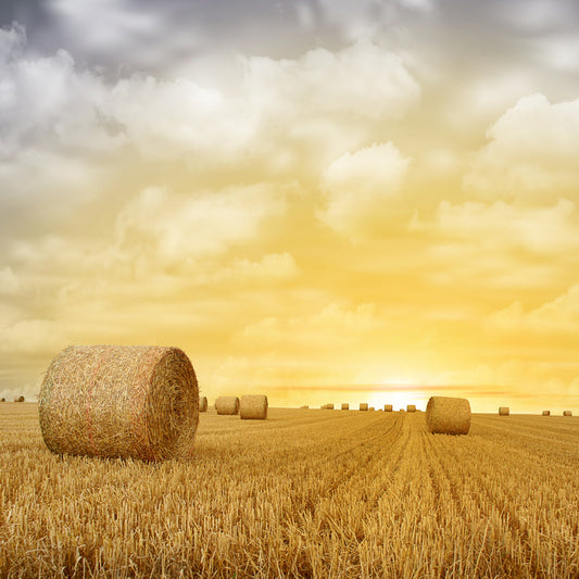 Baled up