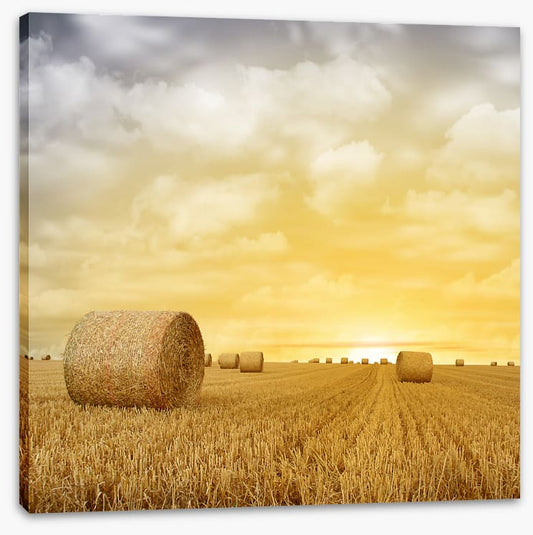 Baled up