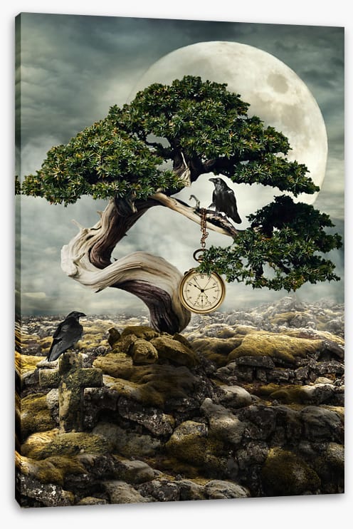 The test of time