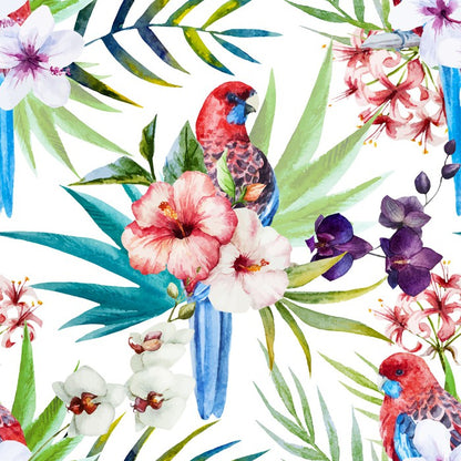 Tropical rosella