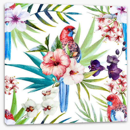 Tropical rosella