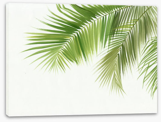 Green palm breeze