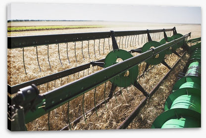 Agriculture