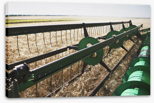 Agriculture