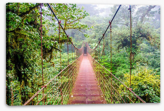 South America