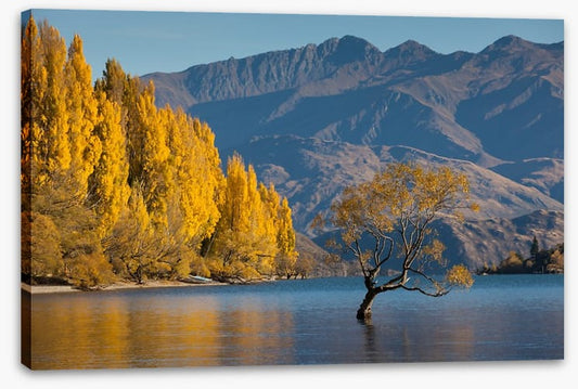 Autumn at Lake Wanaka