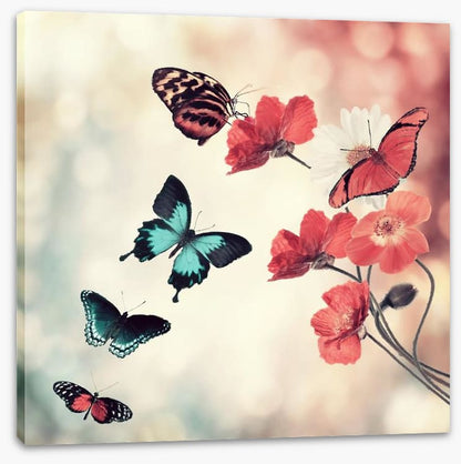 Five butterflies