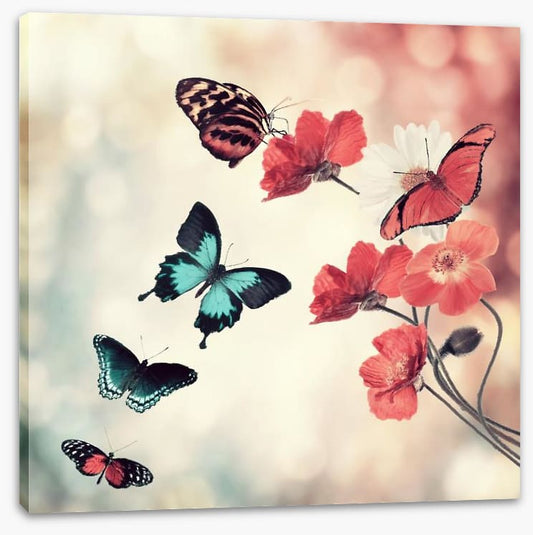 Five butterflies