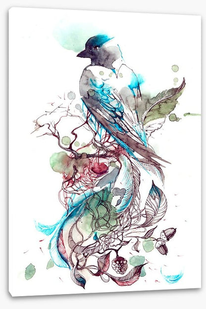 Pretty passerine