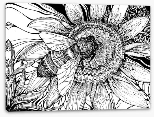 Honey bee