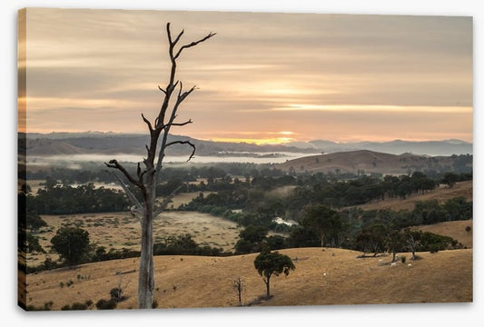 Dawn in the Goulburn River valley
