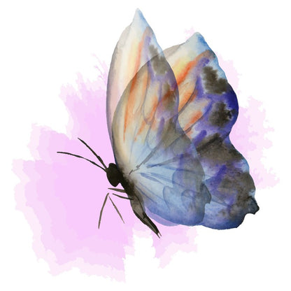 Aquarelle butterfly