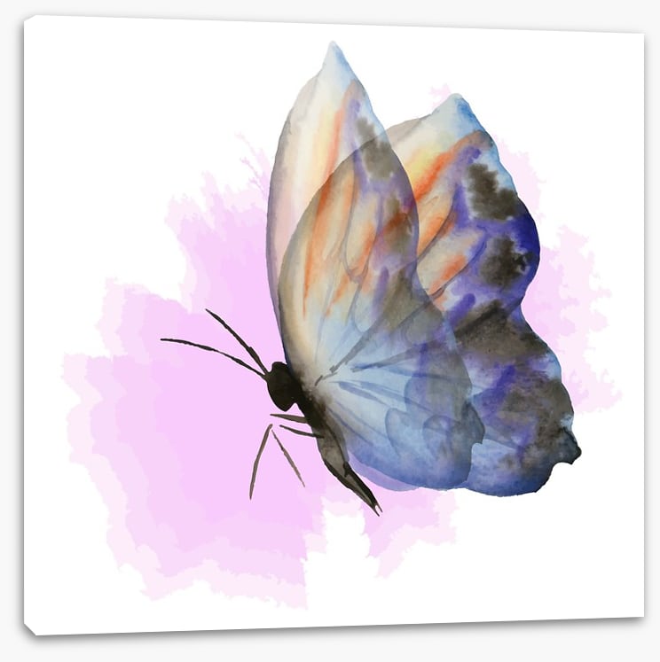 Aquarelle butterfly