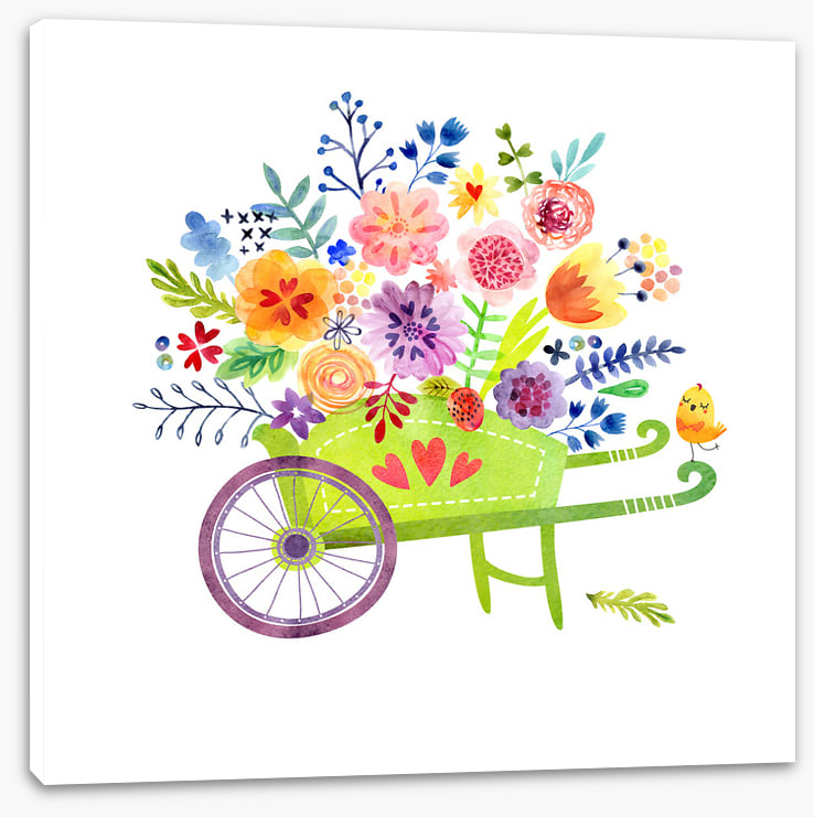 Wheelbarrow joy