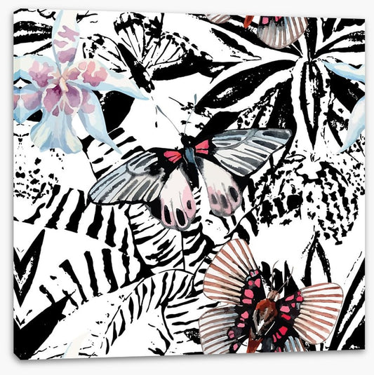 Butterflies