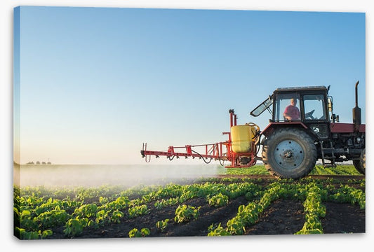Agriculture