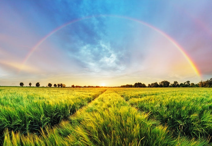Harvest blessings
