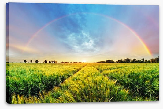 Harvest blessings