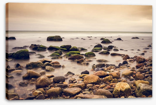 Rugged rock shore