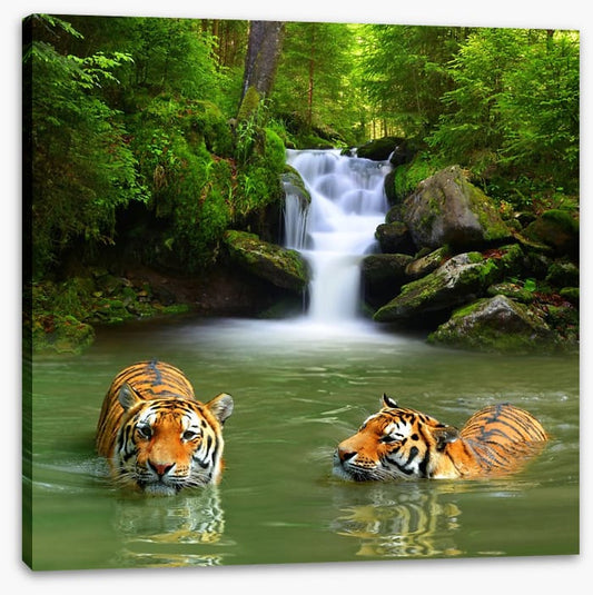 The tigers and the waterfall