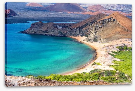 The Galapagos coast