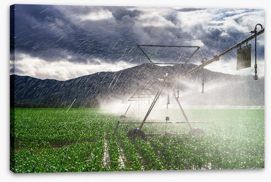 Agriculture