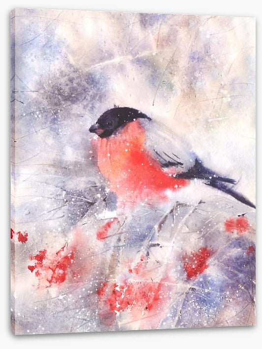 Bullfinch in the frost