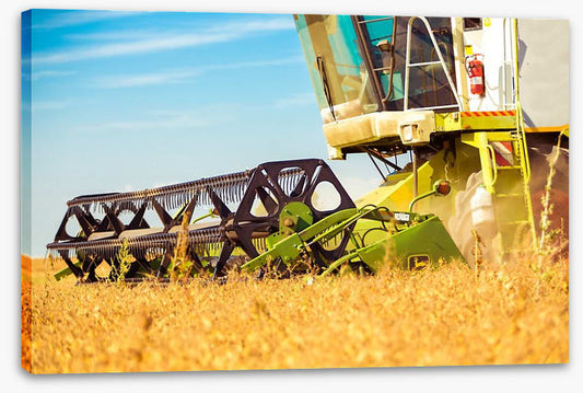 Agriculture