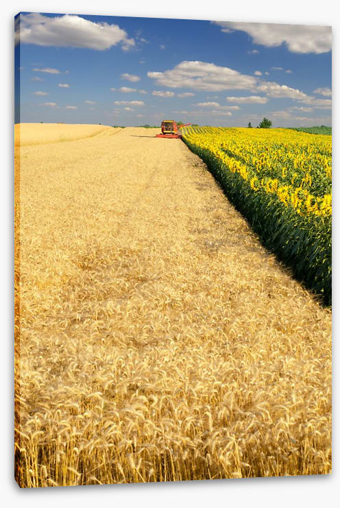 Agriculture
