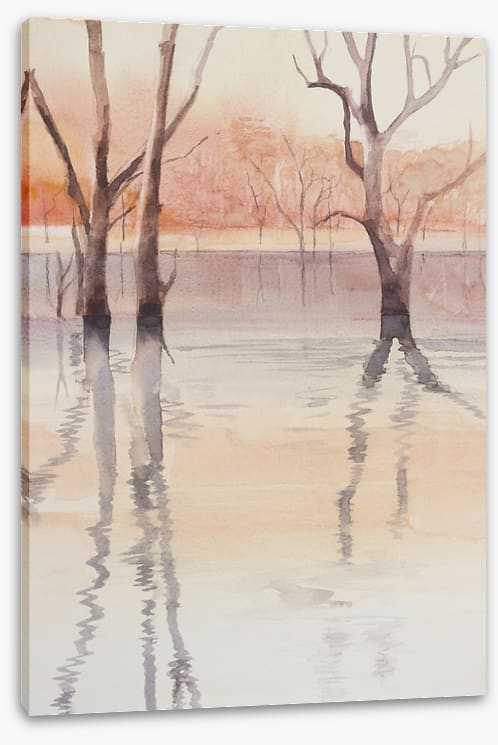 Kariba dam reflections