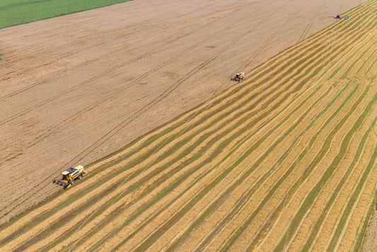 Agriculture