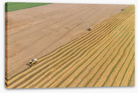 Agriculture