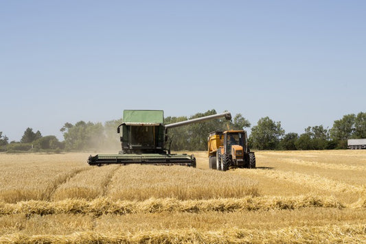 Agriculture