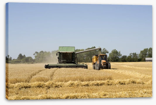 Agriculture