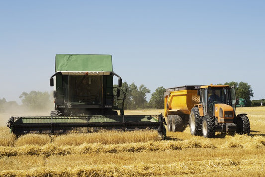 Agriculture