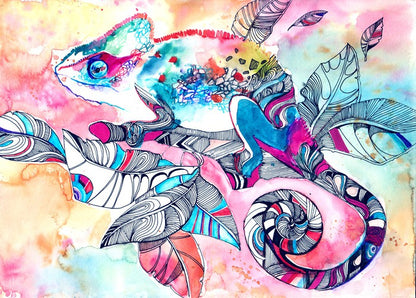 Colourful chameleon