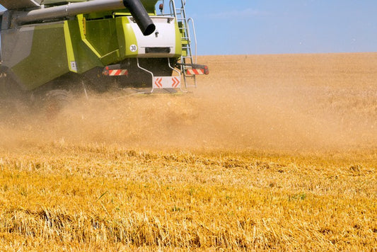 Agriculture