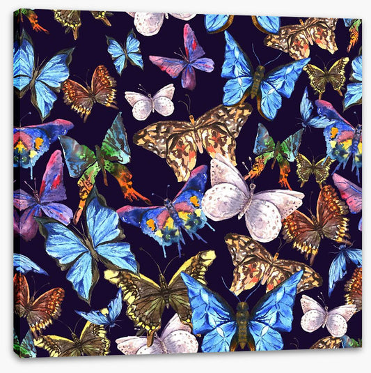 Butterflies