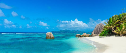 Paradise found