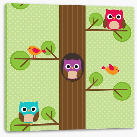 Owls